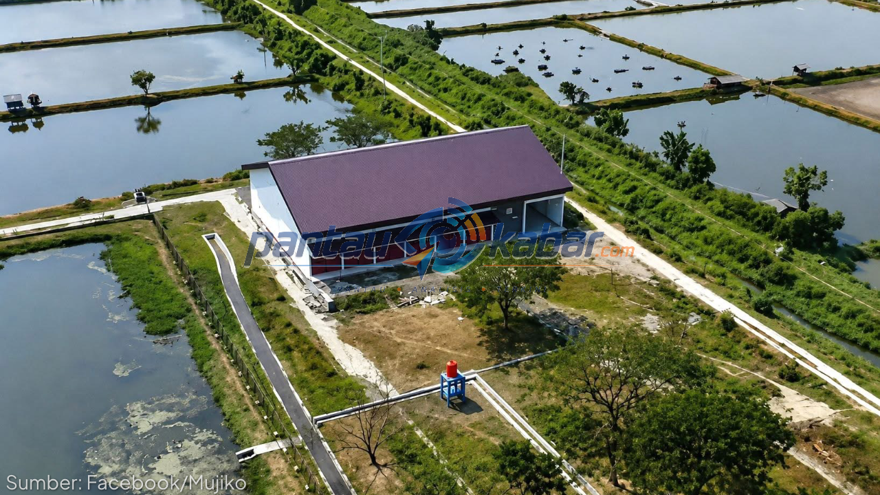 Koperasi Desa Merah Putih dibangun di lokasi tambak Koperasi Desa Merah Putih dibangun di lokasi tambak