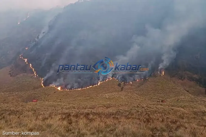 Kebakaran Gunung Bromo Meluas, 520 Hektare Kawasan Terdampak Kebakaran melanda kawasan Gunung Bromo dengan api terlihat membakar padang savana dan asap tebal mengepul di kawasan Taman Nasional Bromo Tengger Semeru